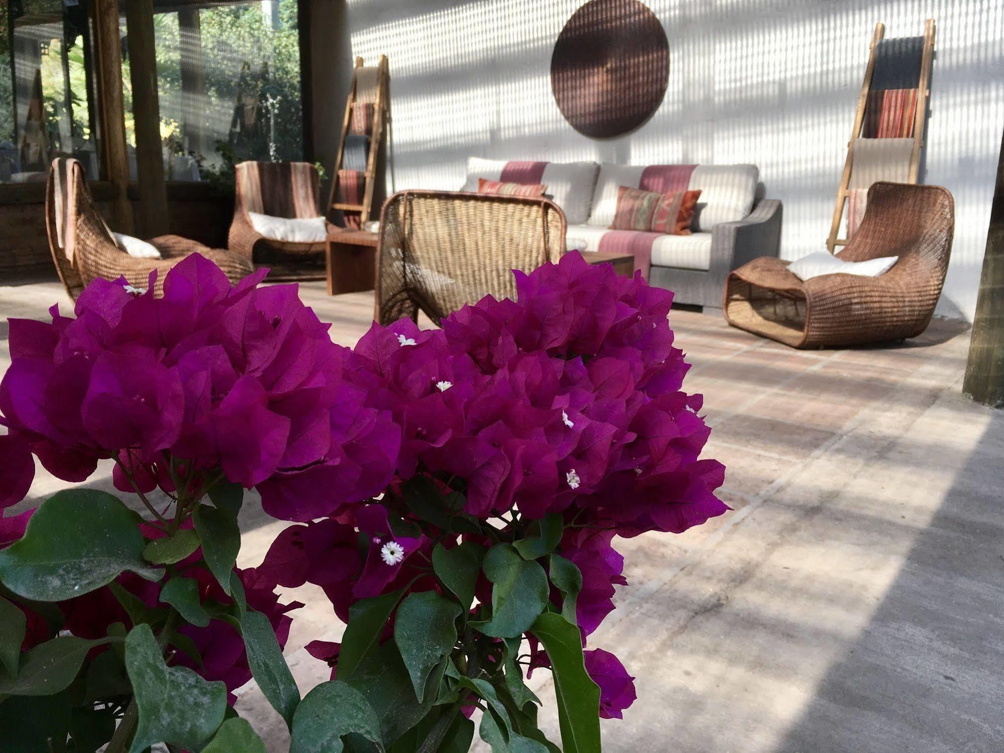 Hotel Casa De Campo Санта-Крус Экстерьер фото